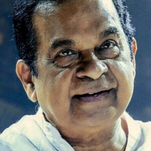 تصویر هنرمند Brahmanandam