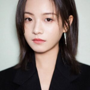 تصویر هنرمند Li Gengxi