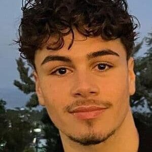 تصویر هنرمند Leon Mentori