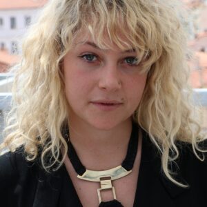 تصویر هنرمند Fanni Metelius