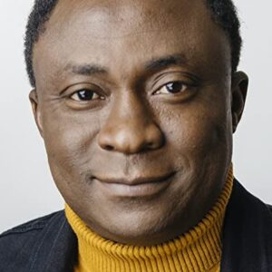 تصویر هنرمند Bayo Akinfemi