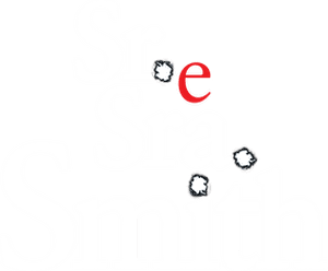 لوگوی رسمی فیلم Mr. & Mrs. Smith (2005)