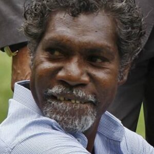 تصویر هنرمند David Ngoombujarra