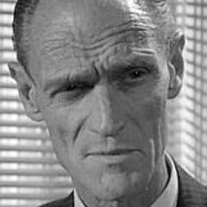 تصویر هنرمند Peter Madden