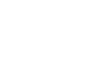 لوگوی رسمی فیلم Young Woman and the Sea (2024)