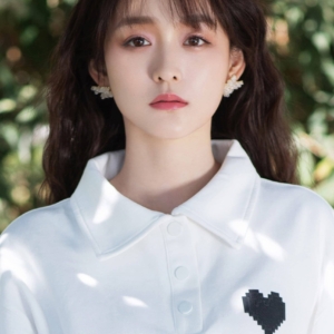 تصویر هنرمند He Hongshan