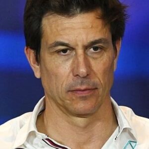 تصویر هنرمند Toto Wolff