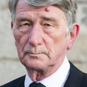 تصویر هنرمند Ian Giles