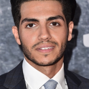 تصویر هنرمند Mena Massoud