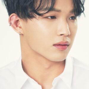 تصویر هنرمند Lim Hyun-sik