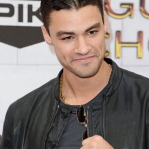 تصویر هنرمند Kris Van Damme