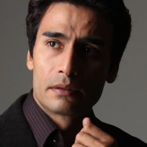 تصویر هنرمند Farhan Ally Agha