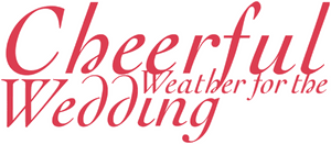 لوگوی رسمی فیلم Cheerful Weather for the Wedding (2012)