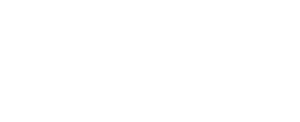 لوگوی رسمی فیلم The Sky Is Everywhere (2022)