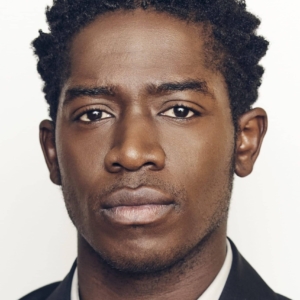 تصویر هنرمند Damson Idris