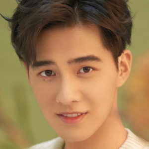 تصویر هنرمند Gu Zicheng