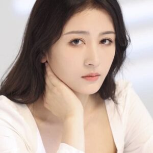 تصویر هنرمند Hu Yi Lin