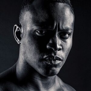 تصویر هنرمند Charles Brice