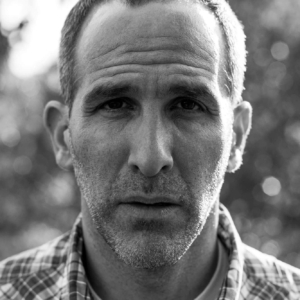 تصویر هنرمند Neal Edelstein