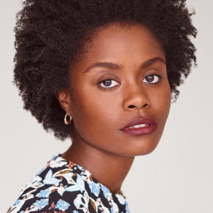 تصویر هنرمند Denée Benton