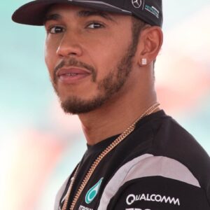 تصویر هنرمند Lewis Hamilton