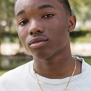 تصویر هنرمند Joshua J. Williams