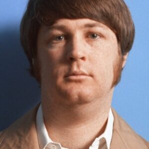 تصویر هنرمند Brian Wilson