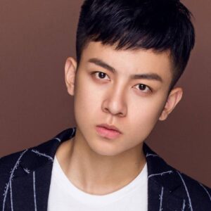 تصویر هنرمند Liu Zhehui