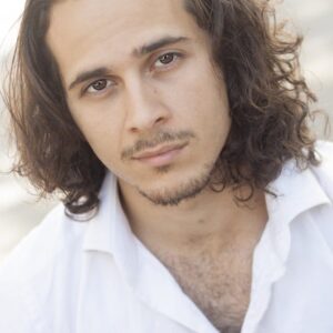 تصویر هنرمند Vincenzo Hinckley