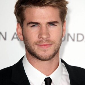 تصویر هنرمند Liam Hemsworth