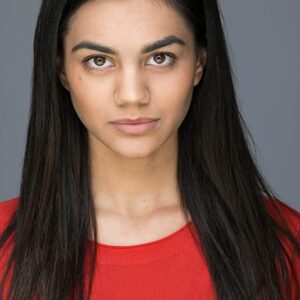 تصویر هنرمند Lisa Ambalavanar