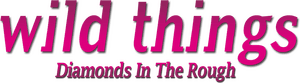 لوگوی رسمی فیلم Wild Things: Diamonds in the Rough (2005)
