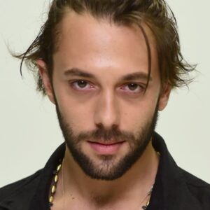 تصویر هنرمند Cengiz Orhonlu