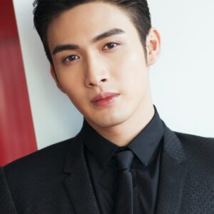 تصویر هنرمند Vin Zhang