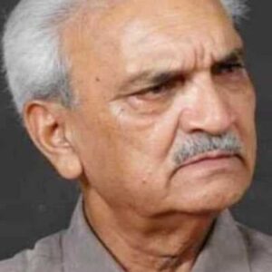 تصویر هنرمند Anil Rastogi