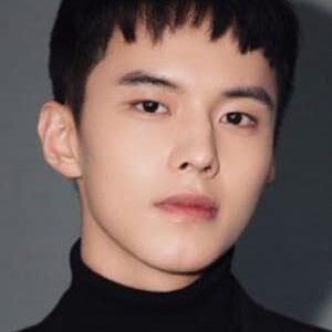 تصویر هنرمند He Yu