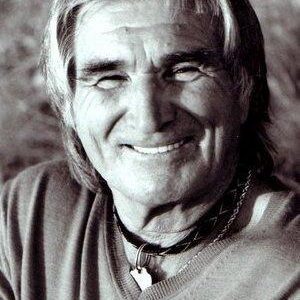 تصویر هنرمند Vojislav Govedarica