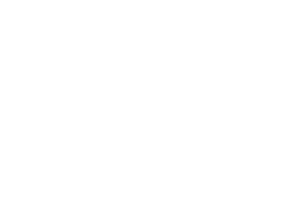 لوگوی رسمی فیلم EO (2022)