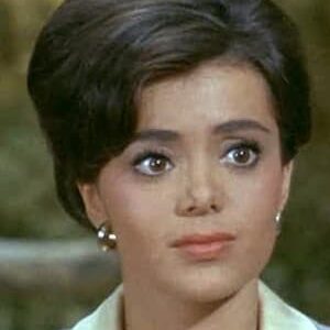 تصویر هنرمند Susan Silo