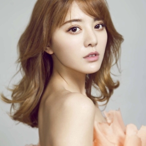 تصویر هنرمند Alan Dawa Dolma