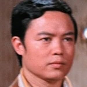 تصویر هنرمند Robert Chan Law-Bat