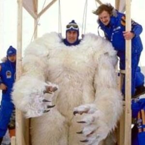 تصویر هنرمند Des Webb