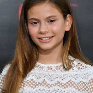 تصویر هنرمند Lou Lou Safran