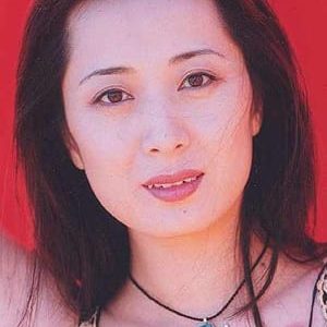 تصویر هنرمند Li Mei