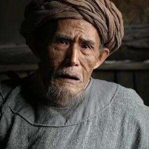 تصویر هنرمند Liu Zhongyuan