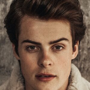 تصویر هنرمند Herman Tømmeraas