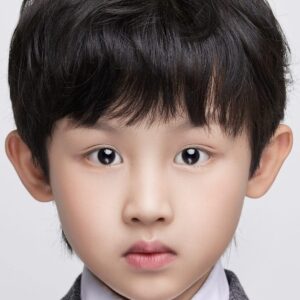 تصویر هنرمند Ling Chen