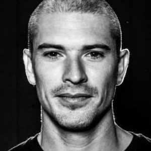 تصویر هنرمند Stephane Vigroux