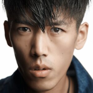 تصویر هنرمند Chubu Huajie