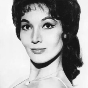 تصویر هنرمند Sylvia Lewis